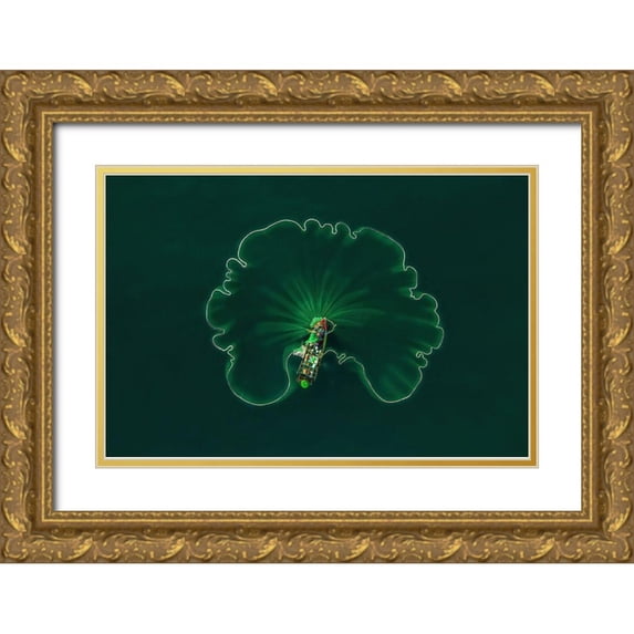 Cao, Alex 32x23 Gold Ornate Wood Framed with Double Matting Museum Art Print Titled - Ocean Lotus Leaf