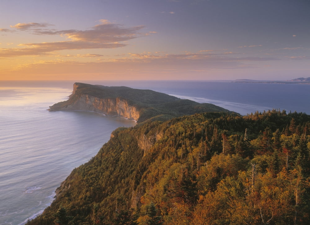Cap Bon Ami Gaspe Peninsula Forillon National Park Quebec Canada Canvas Art - Darwin Wiggett Design Pics (32 x 22)
