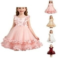 thumbnail image 1 of Cap Sleeve Tulle Birthday Dress – Puff Mesh Gown Ages 2-8, 1st Celebration & Party Wear, Sweet Coordination with Pink Dress for Girls Looks, 1 of 5