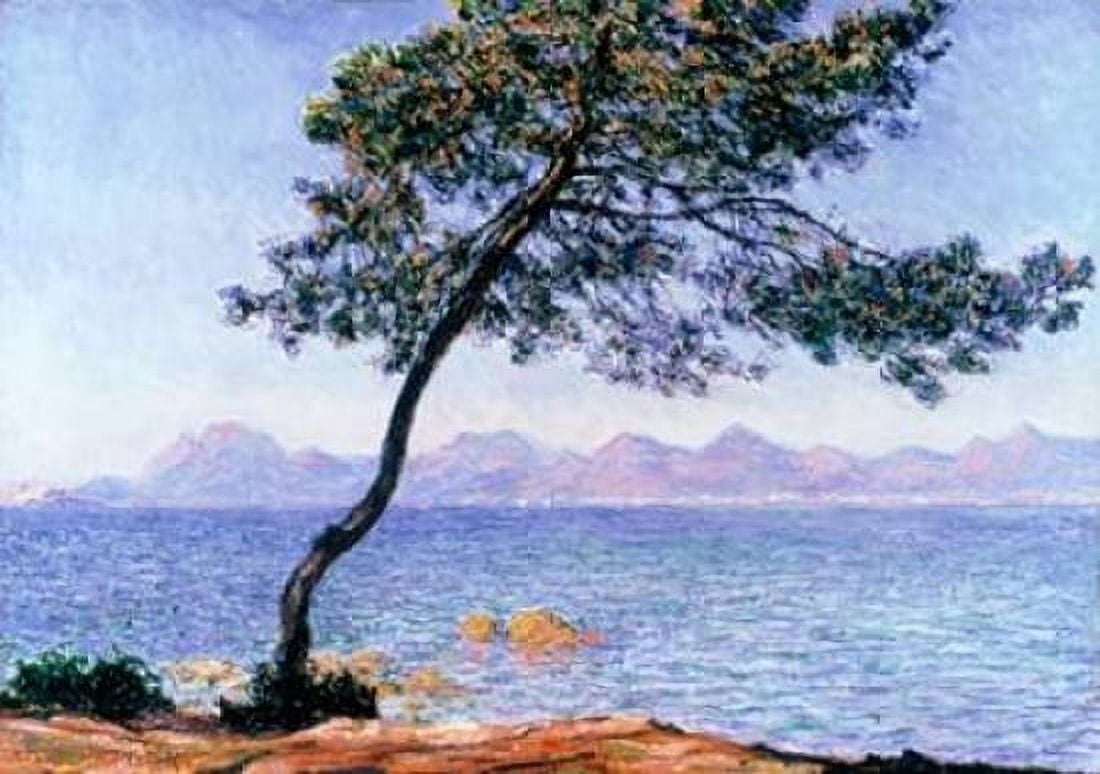 Cap dAntibes Canvas Art - Claude Monet (20 x 28)