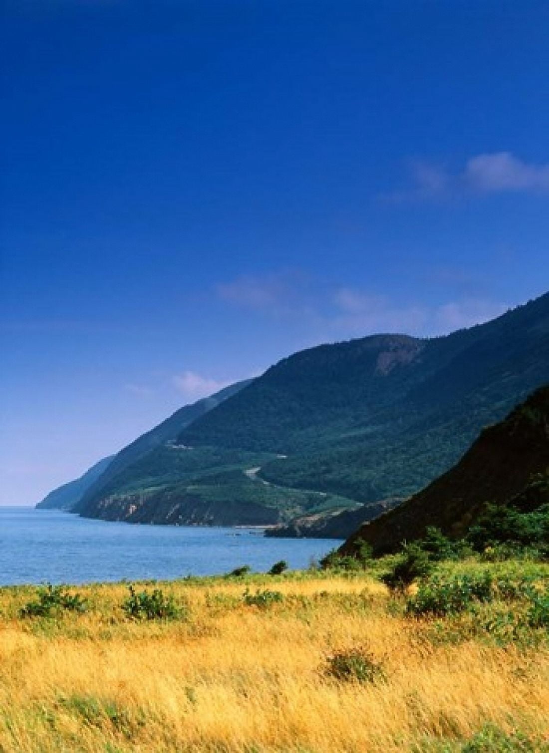 Cape Breton National Park Canvas Art - Walter Bibikow DanitaDelimont (18 x 24)
