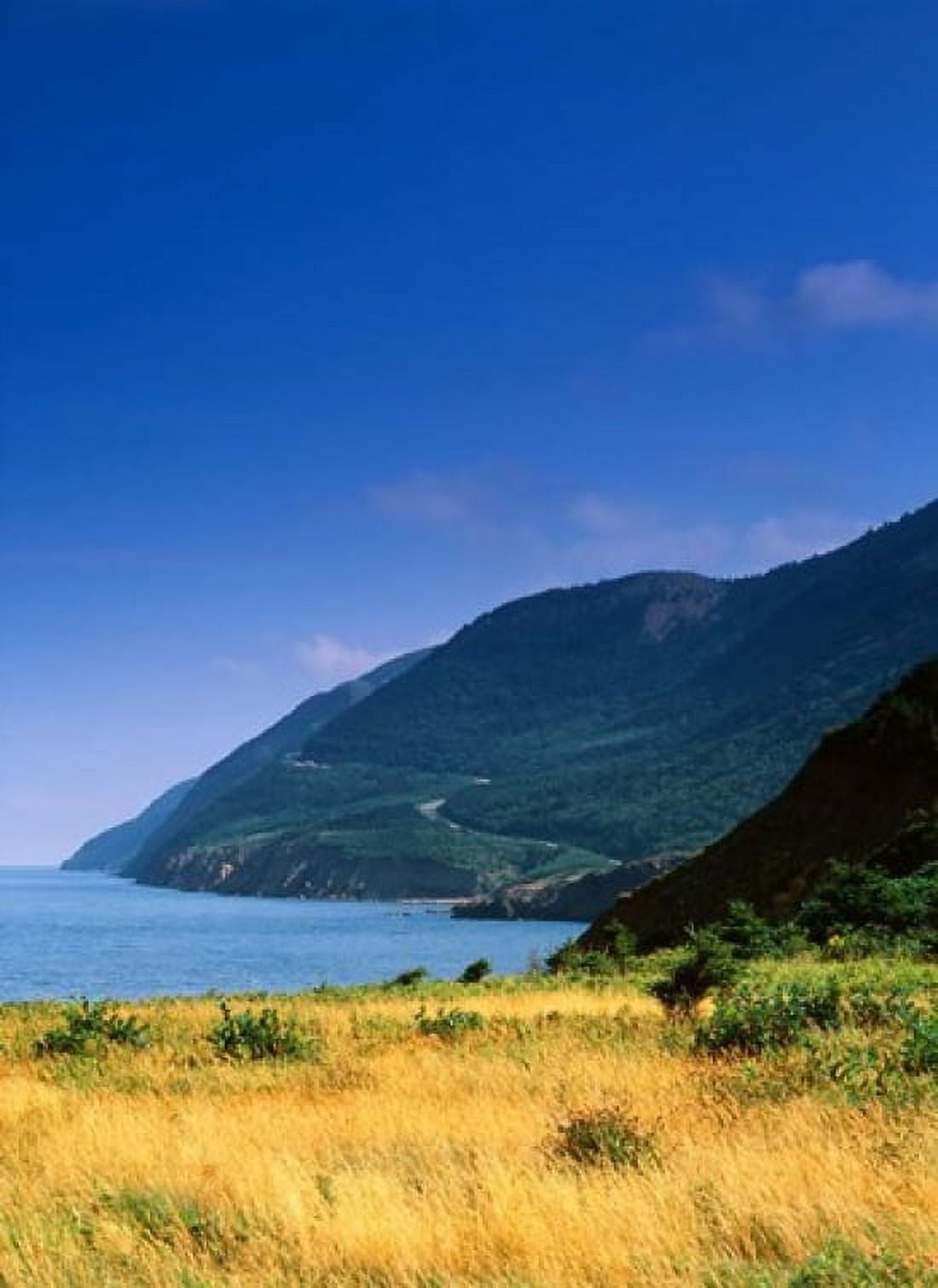 Cape Breton National Park Canvas Art - Walter Bibikow DanitaDelimont (26 x 35)