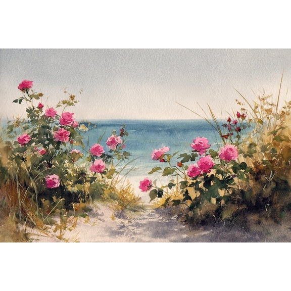 Cape Cod Beach Rose Path Wall Art Decor Unframed Paper Print