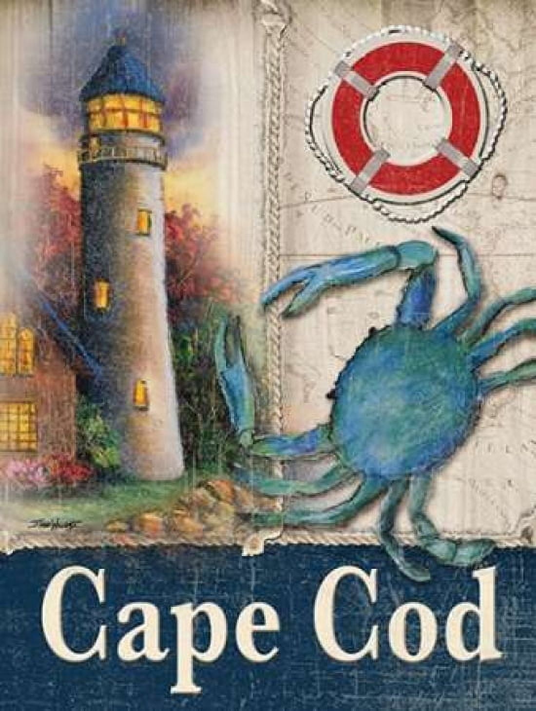 Cape Cod Canvas Art - Todd Williams (18 x 24)