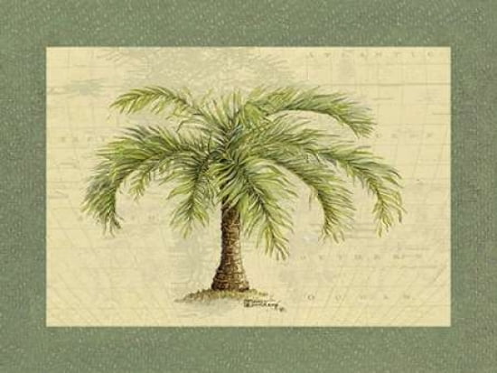 Cape Florida Canvas Art - Janet Kruskamp (20 x 28)