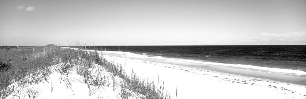 Cape Hatteras National Park Outer Banks North Carolina USA Canvas Art - Panoramic Images (12 x 36)