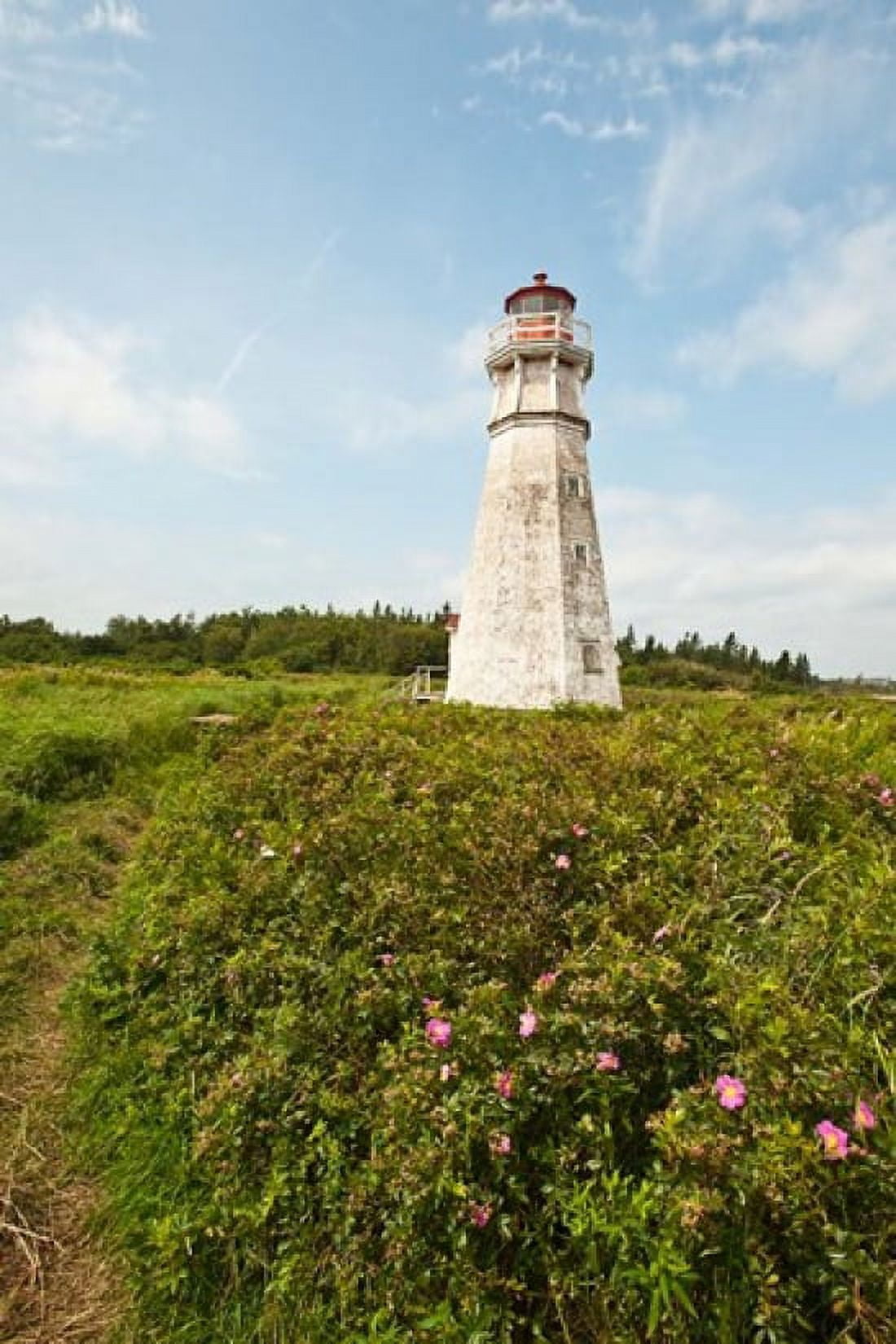 Cape Jourimain NWA Lighthouse Canvas Art - Michael DeFreitas DanitaDelimont (18 x 26)