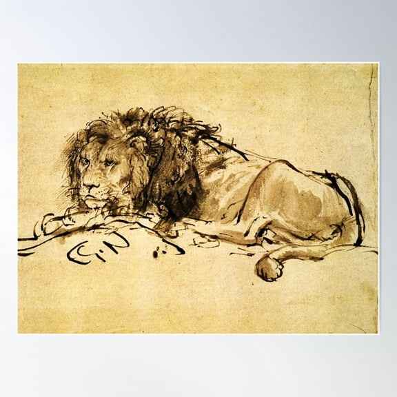 Cape Lion Lying Down By Rembrandt Brown Sepia Drawing Poster Wall Art Modern Wall Decor For Living Room Bedroom