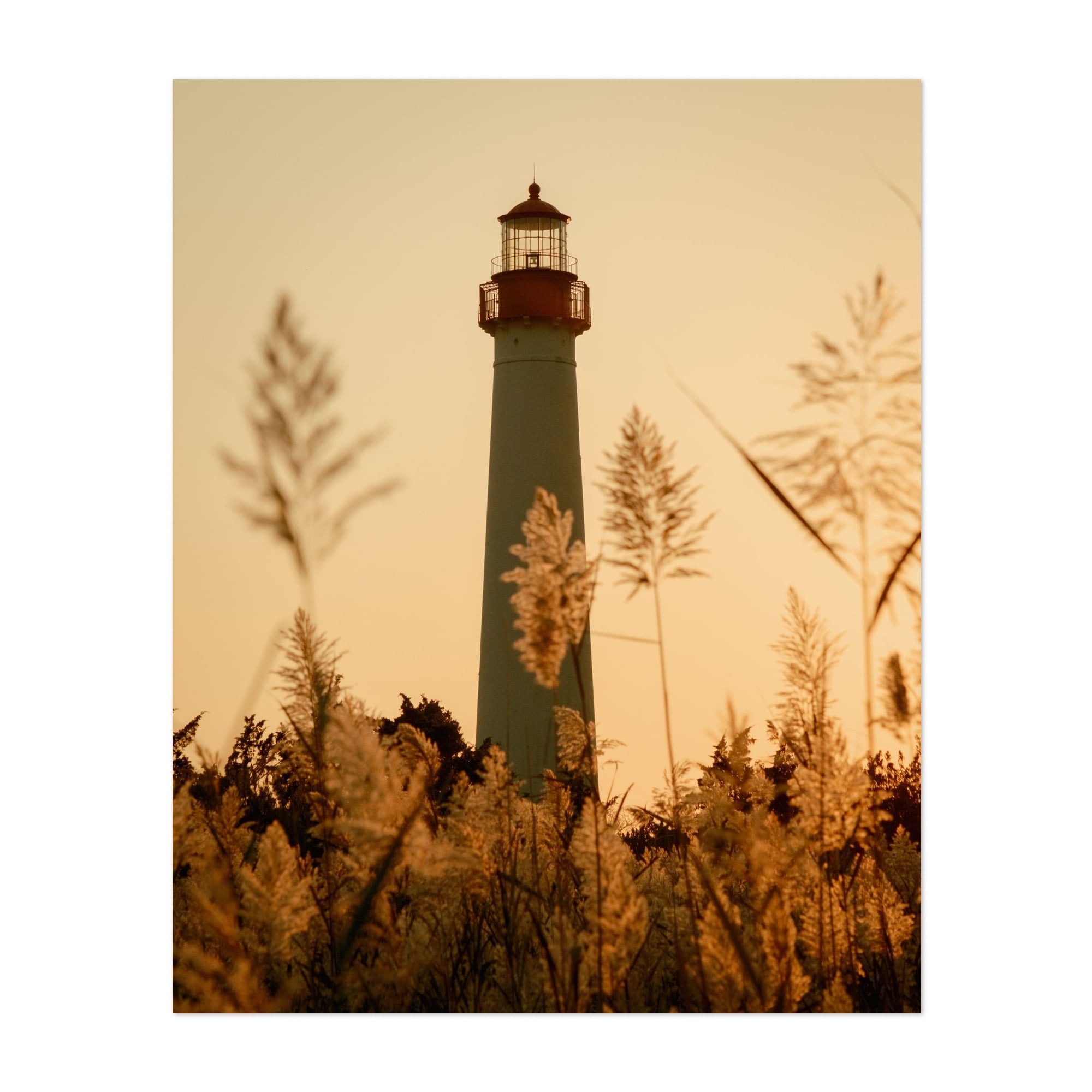 Cape May Lighthouse Cape May New Jersey Photography Unframed Wall Art