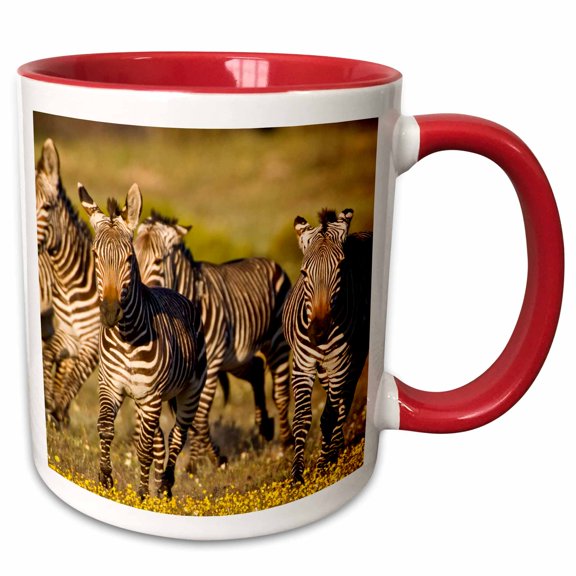 3drose, Cape Mountain Zebra, Bushmans Kloof, South Africa-af42 Rbe0022 - Ralph H. Bendjebar, 11oz Two-tone Red Mug