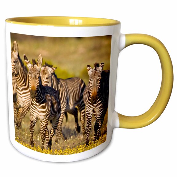 3drose, Cape Mountain Zebra, Bushmans Kloof, South Africa-af42 Rbe0022 - Ralph H. Bendjebar, 11oz Two-tone Yellow Mug