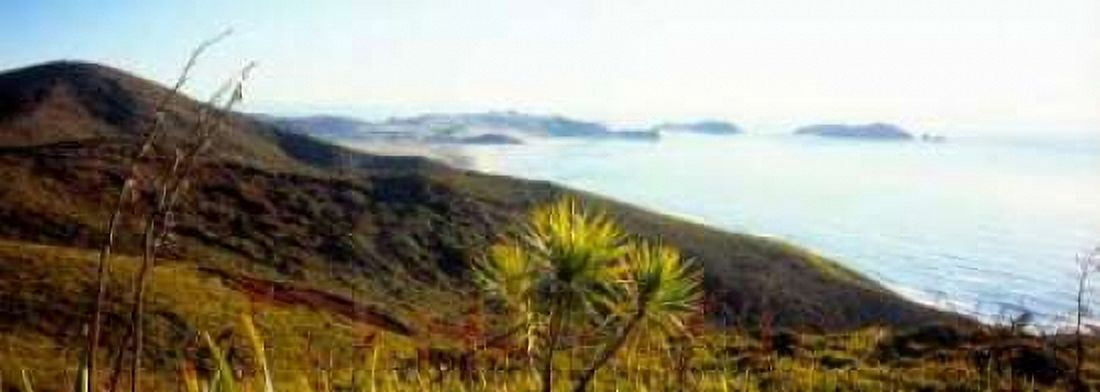 Cape Reinga I Canvas Art - Bob Stefko (10 x 20)
