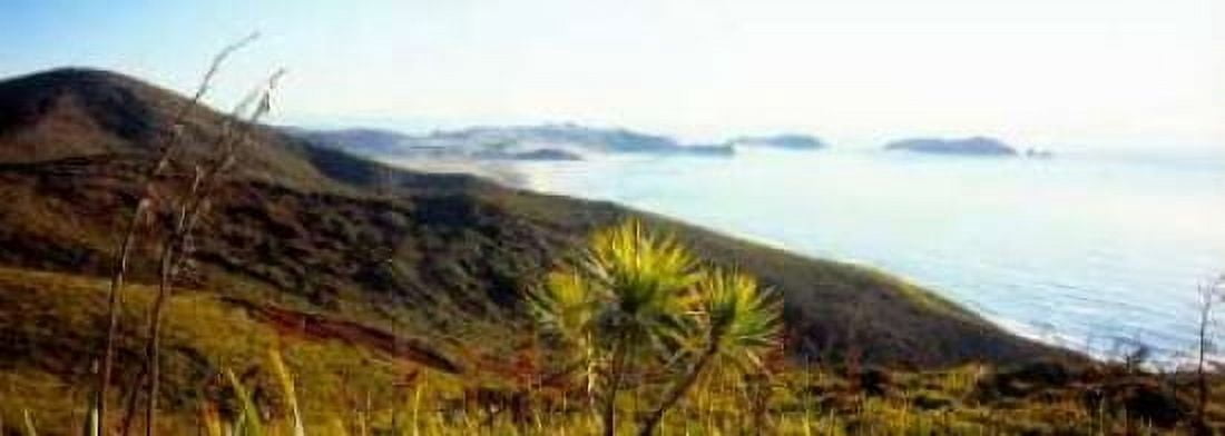 Cape Reinga I Canvas Art - Bob Stefko (24 x 48)