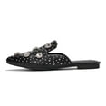 thumbnail image 1 of Cape Robbin Sandals Women Flat Mule Sierra Rhinestone Stud Detail Pointed Toe Slip On Fashion Flats (Black Multi Rhinestone, 6), 1 of 3