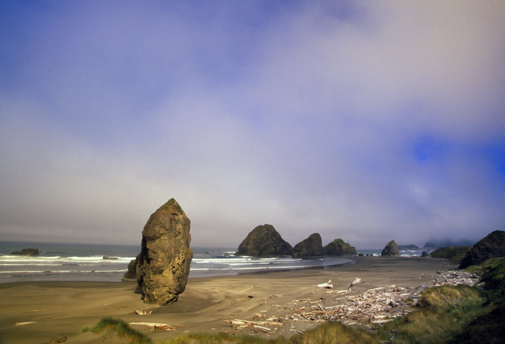 Cape Sebastian Pacific Coast Canvas Art - Natural Selection Craig Tuttle Design Pics (36 x 24)