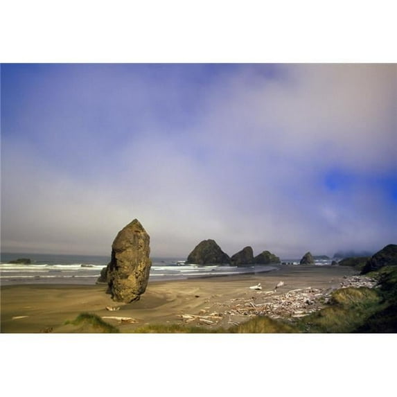 Cape Sebastian Pacific Coast Poster Print by Natural Selection Craig Tuttle, 36 x 24 - Large
