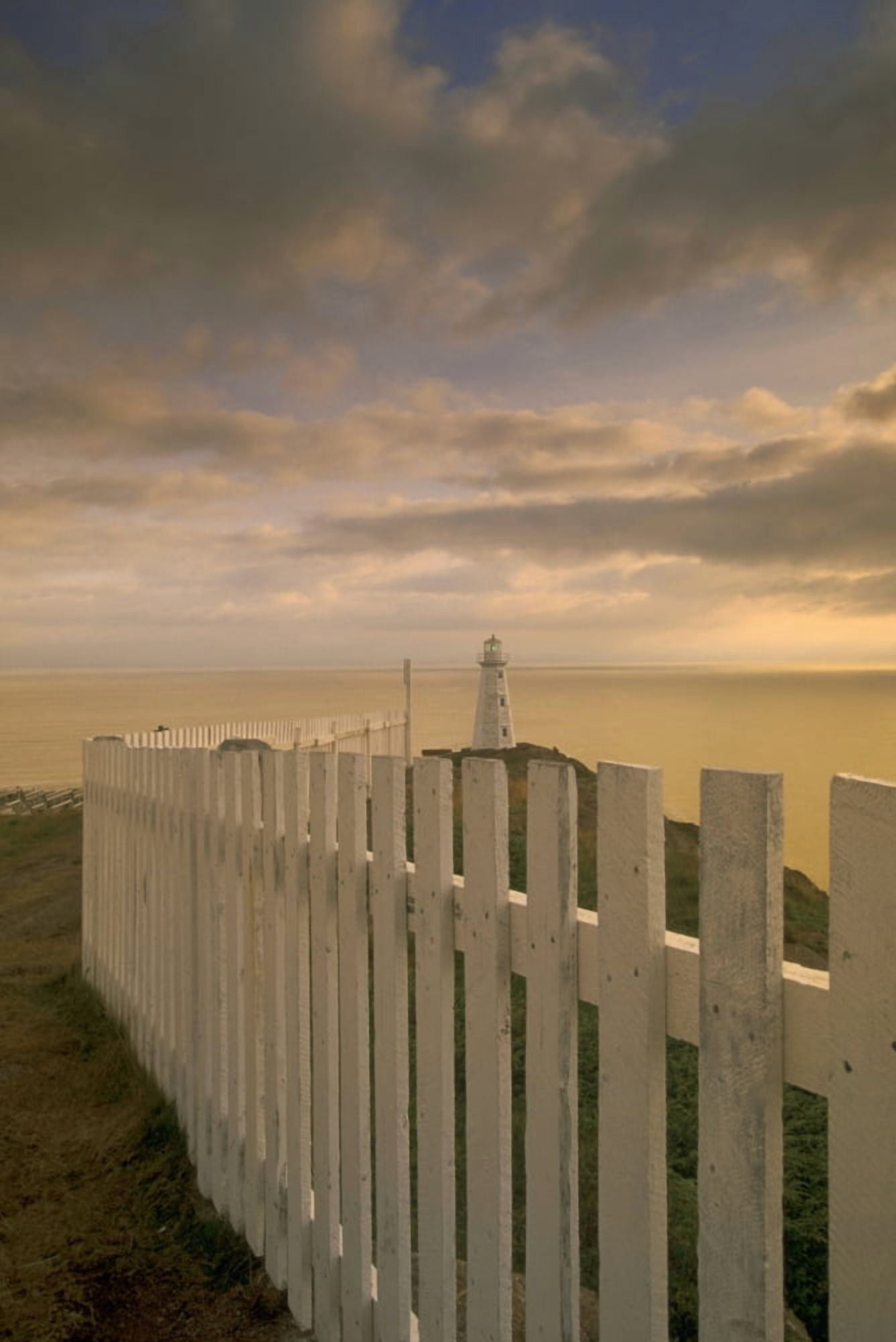 Cape Spear Lighthouse Avalon Peninsula Newfoundland Canvas Art - Ron Watts  Design Pics (11 x 17)