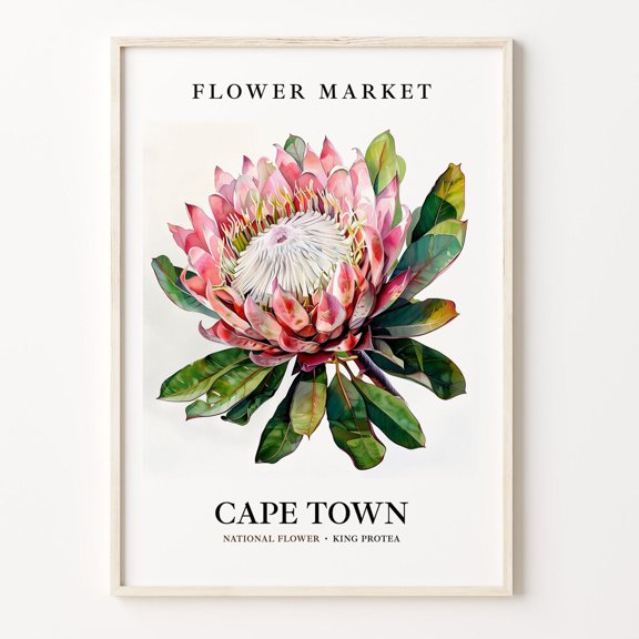 Cape Town Flower Market Art Print South Africa Wall Art Cape Town Poster Floral Decor Flower Wall Art