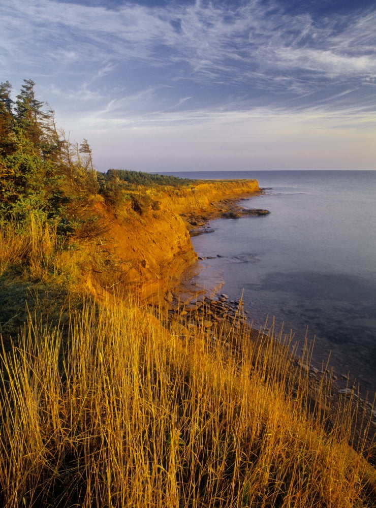 Cape Turner Prince Edward Island National Park Canada Canvas Art - Darwin Wiggett Design Pics (12 x 16)