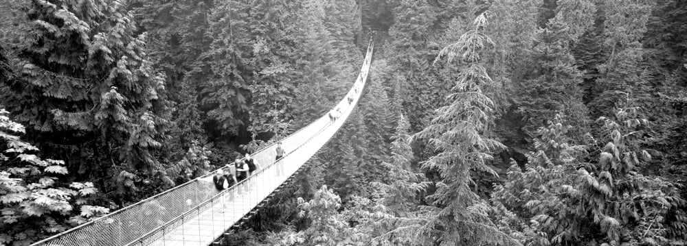 Capilano Bridge Suspended Walk Vancouver British Columbia Canada Canvas Art - Panoramic Images (13 x 36)