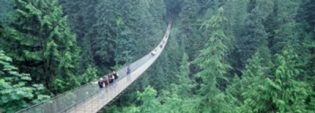 Capilano Bridge Suspended Walk Vancouver British Columbia Canada Canvas Art - Panoramic Images (18 x 7)