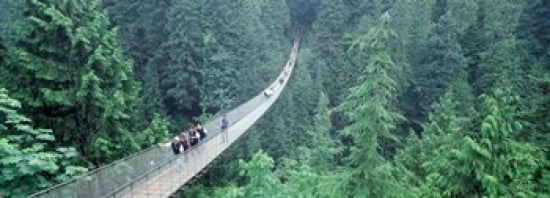 Capilano Bridge Suspended Walk Vancouver British Columbia Canada Canvas Art - Panoramic Images (36 x 13)