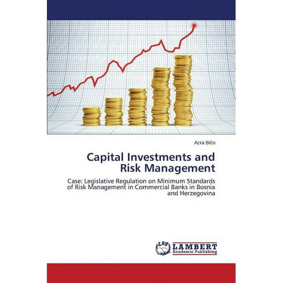 Capital Investments and Risk Management (Paperback)