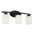thumbnail image 1 of Capital Lighting 115231MB-338 Dixon 3 Light 21" Wide Bathroom Vanity Light - Black, 1 of 2