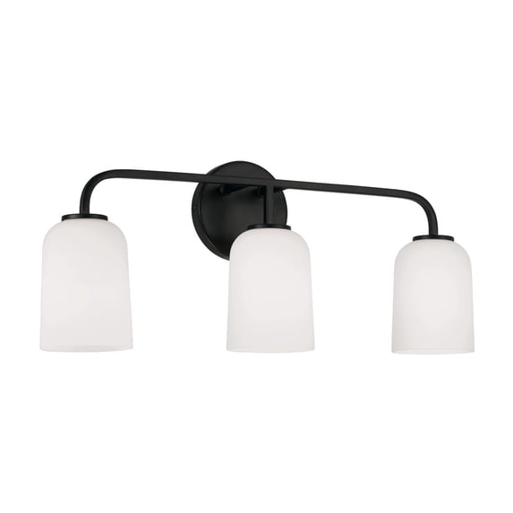 Capital Lighting 148831MB-542 Lawson 3 Light 24" Wide Vanity Light - Black