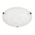 thumbnail image 1 of Capital Lighting 2822FF-AL 2 Light 12" Wide Flush Mount Bowl Ceiling Fixture - Alabaster, 1 of 2