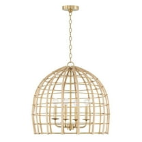 4 Light Pendant In Modern Style-21.75 Inches Tall And 23 Inches Wide -Traditional Installation Capital Lighting 344141Ma