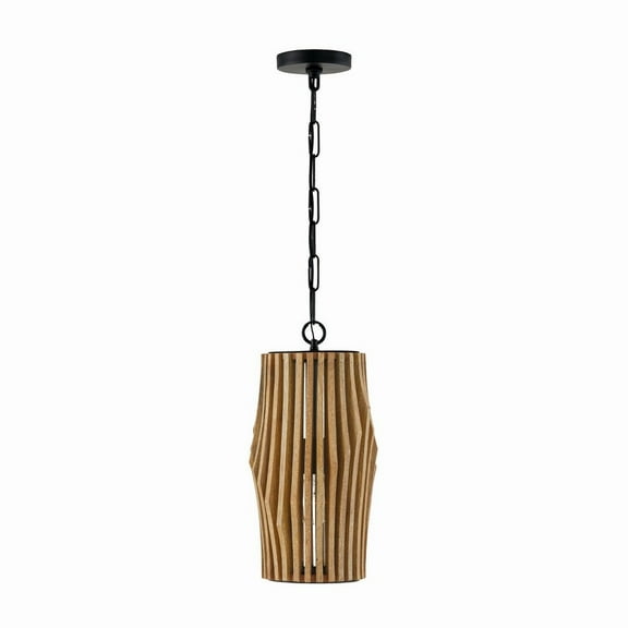 1 Light Pendant In Bohemian Style-17.25 Inches Tall And 8.75 Inches Wide     -Traditional Installation Capital Lighting 344613Wk
