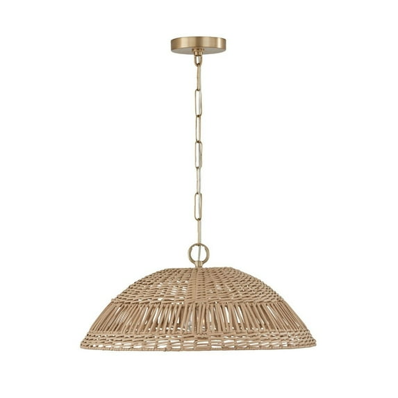 1 Light Pendant In Coastal Style-9.25 Inches Tall And 21 Inches Wide-Matte Brass Finish -Traditional Installation Capital Lighting 347511Ma