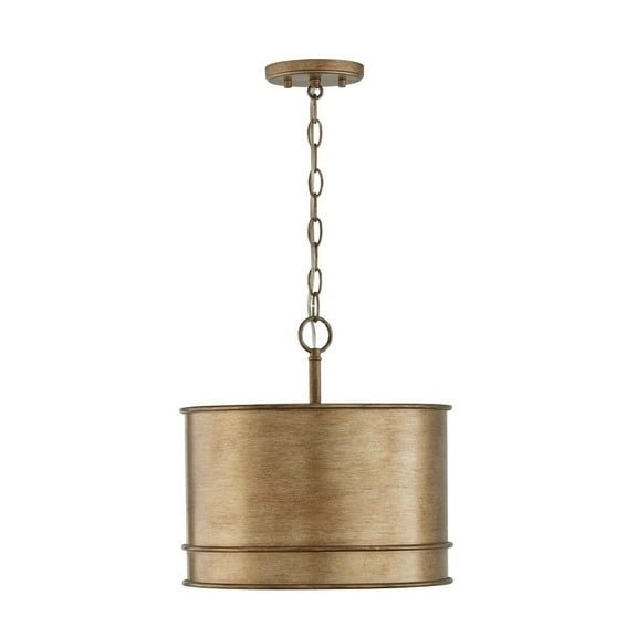 1 Light Pendant In Industrial Style-13.75 Inches Tall And 14 Inches Wide     -Traditional Installation Capital Lighting 349211Ml