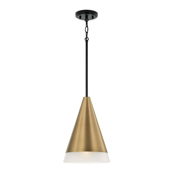 Capital Lighting 351911 Avant 10" Wide Mini Pendant - Black