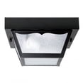 thumbnail image 1 of Capital Lighting  Black 2 Light Carport Fixture, 1 of 2