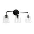 thumbnail image 1 of Capital Lighting - Amara - 3 Light Bath Vanity In Transitional Style-11.5 Inches, 1 of 4
