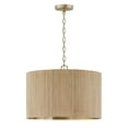 thumbnail image 1 of Capital Lighting - Donovan - 3 Light Pendant In Artisan Style-14.5 Inches Tall, 1 of 4