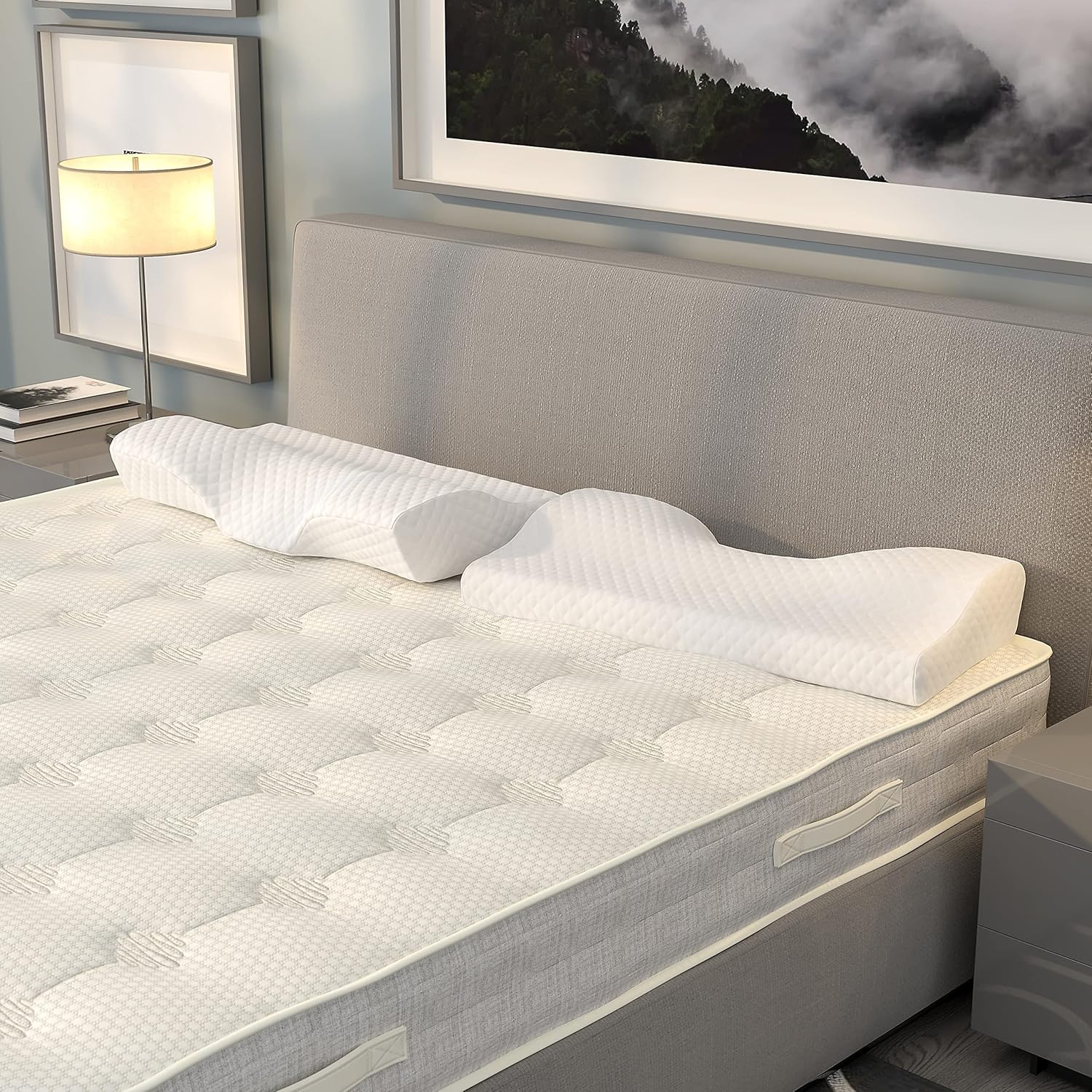 Capri Comfortable Sleep Contour Memory Foam Gel Cervical Neck Pillow