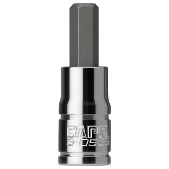 Capri Tools 6 mm Hex Bit Socket, 1/4-Inch Drive, Metric