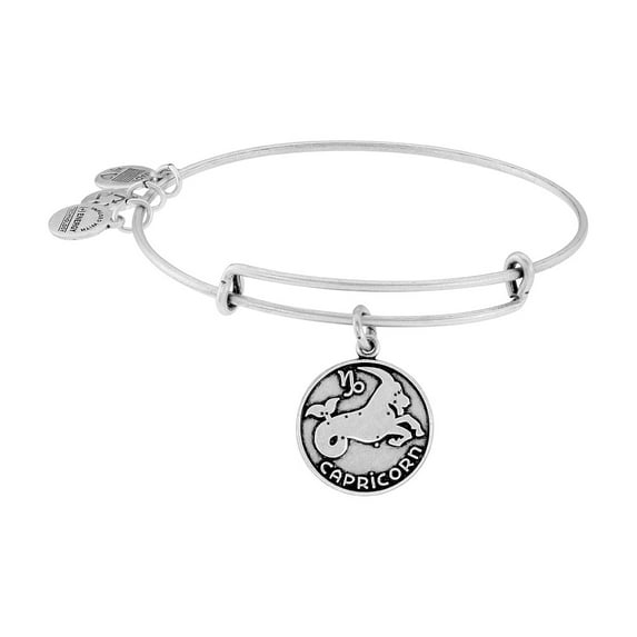Capricorn II Silver Expandable Expandable Bangle