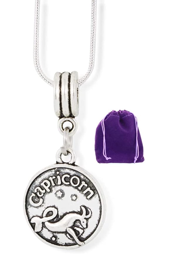 Capricorn Necklace Men and Women Charm Snake Chain Pendant