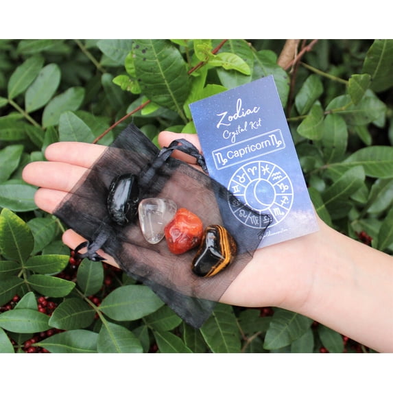 Capricorn Zodiac Crystal Kit, 4 Birthstones in an Organza Pouch, Rough or Tumble