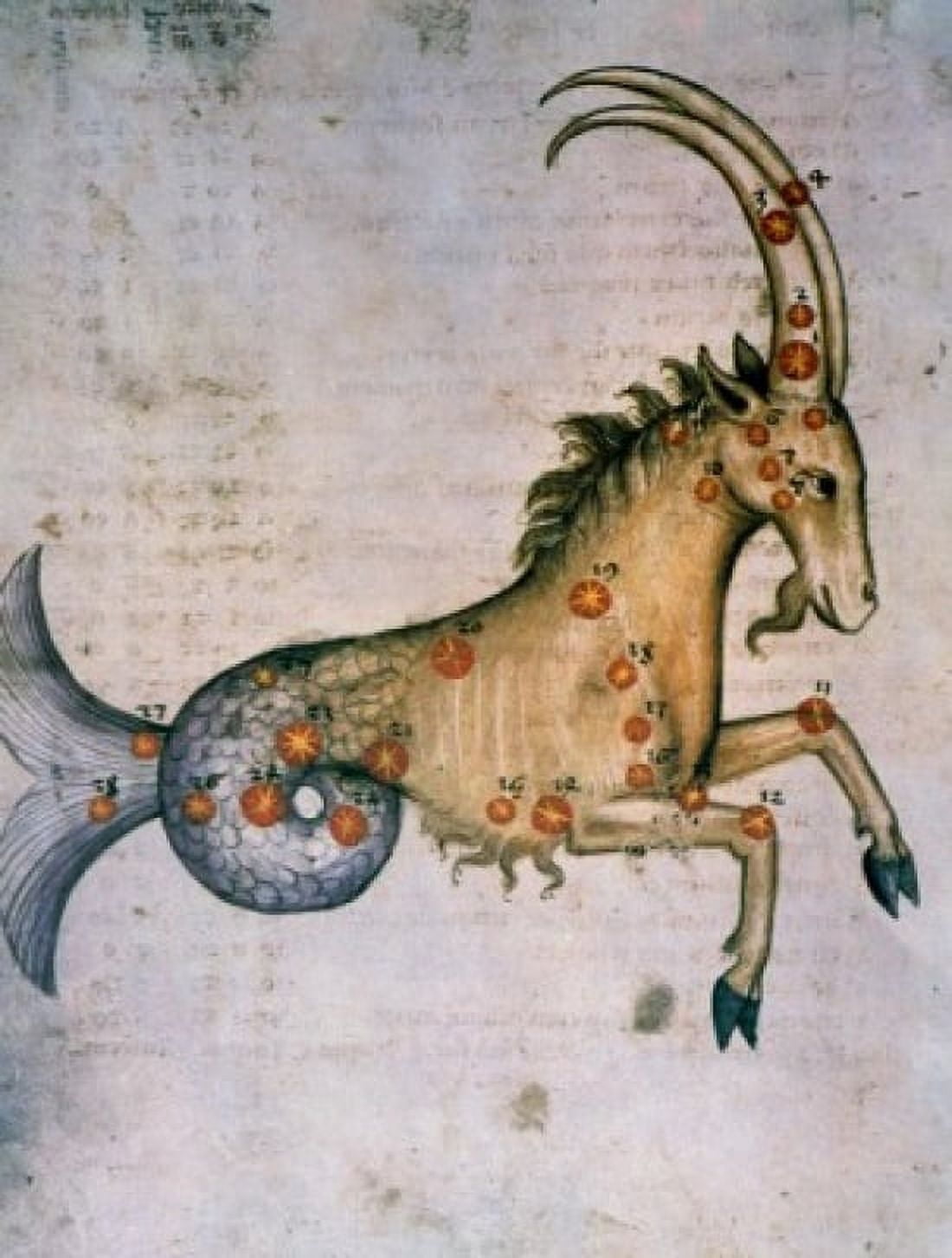 Capricorn or Goat Signs of the Zodiac by artist unknown (from Atlas Celeste De Strabov) Canvas Art - (18 x 24)