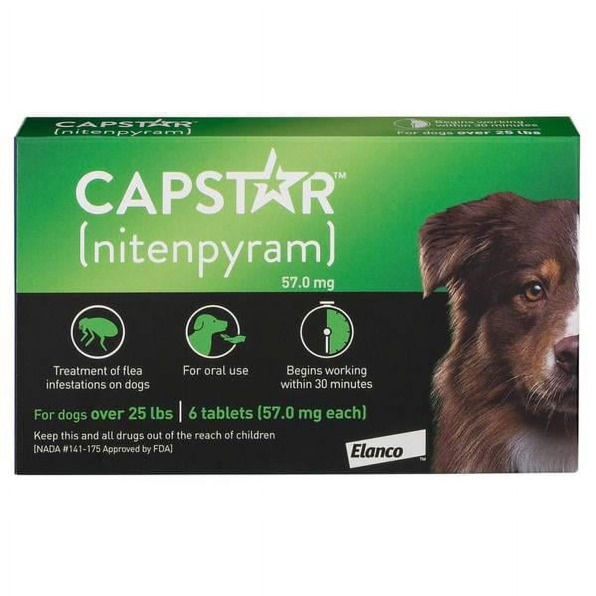 Flea treatment dogs walmart online