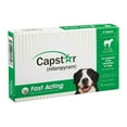 thumbnail image 1 of Capstar Fast-Acting Oral Flea Treatment for Dogs 25.1 – 125 lbs – 6 Doses, 1 of 4