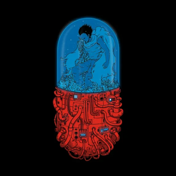 Capsule 41
