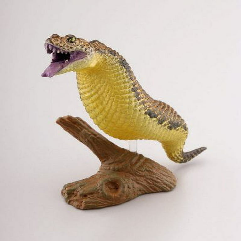 Capsule Q Museum UMA Unidentified Mysterious Animal of the