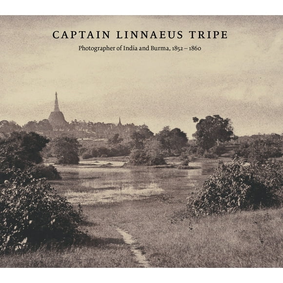 Captain Linnaeus Tripe (Hardcover) by Roger Taylor, Crispin Branfoot, Sarah Greenough