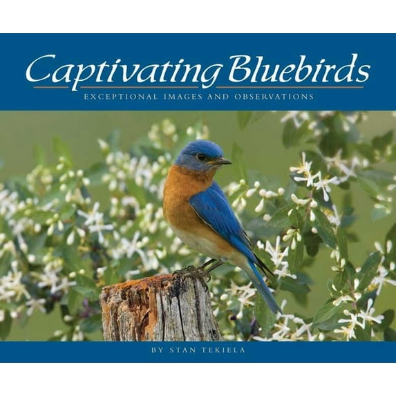 Captivating Bluebirds: Exceptional Images and Observations (Paperback)